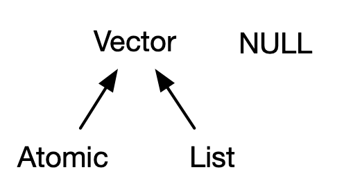 vector types
